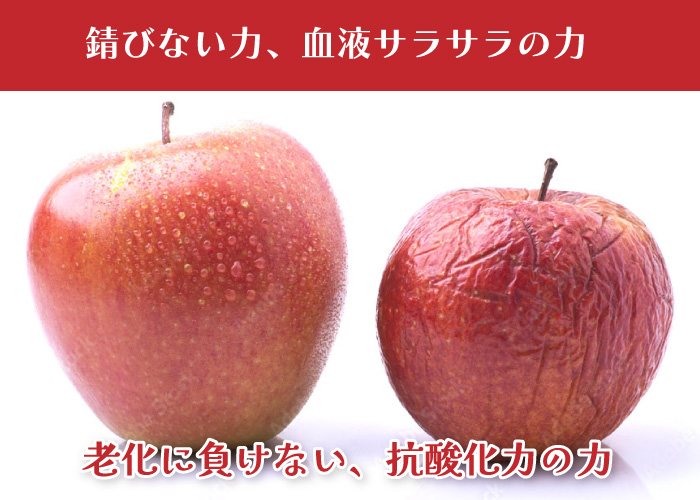 抗酸化力がスゴイ! 抗酸化力がスゴイ!