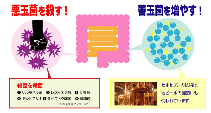 ゼオセブンのマルチナ性能