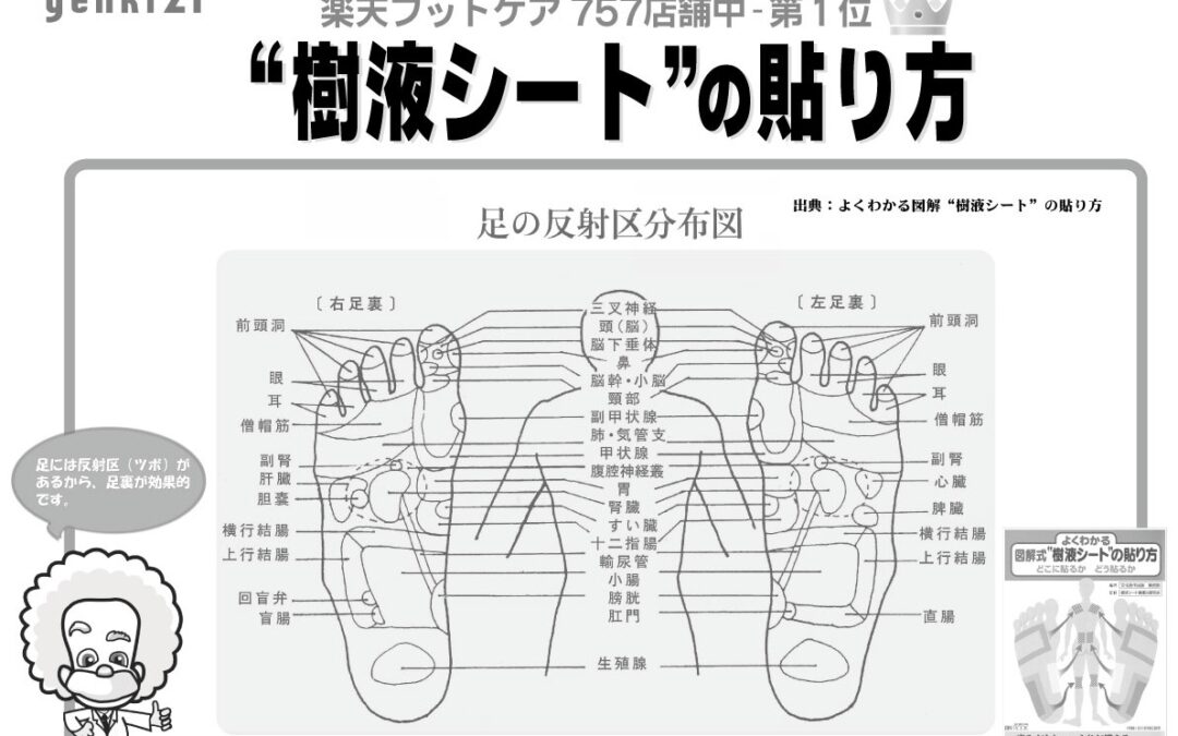 樹液シートの貼り方