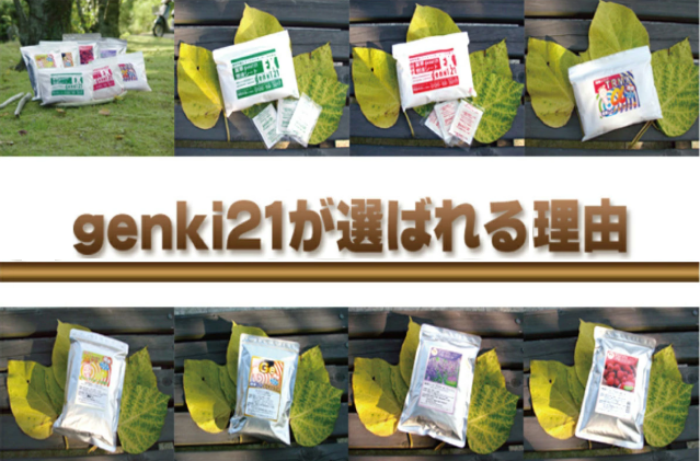 genki21の足裏シート