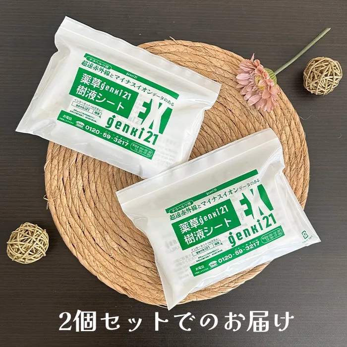 genki21の足裏樹液シート