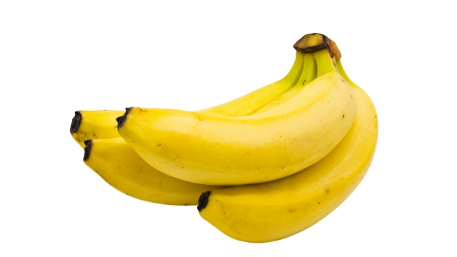 減塩生活をサポートするケア