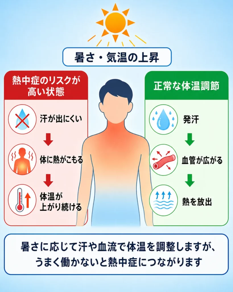 正常な体温調節と熱中症 のリスクを比較した解説インフォグラフィック